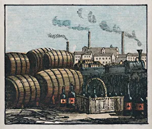 Burton-on-Trent Print, c1910: Staffordshire Brewery Scene