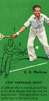 C. E. Malfroy - Low Forehand Drive, c1935. Creator: Unknown