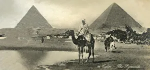 Print of the Pyramids at Cairo