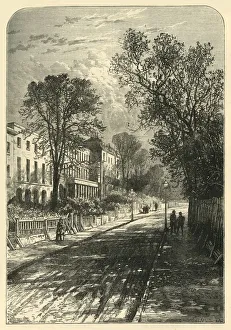 Suburbia Gallery: Camberwell Grove, (c1878). Creator: Unknown