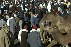 Sousse Collection: Camel market in Sousse