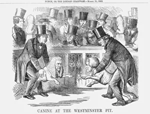 Westbury Gallery: Canine at the Westminster Pit, 1862