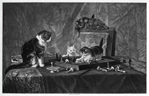 Playful Gallery: Cats playing with a chessboard.Artist: Goupil and Co