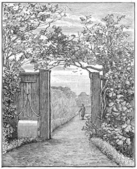 Charles Darwin in the sand walk at Down House, c1870 (1887) Charles Darwin in the sand walk at Down House, c1870 (1887)