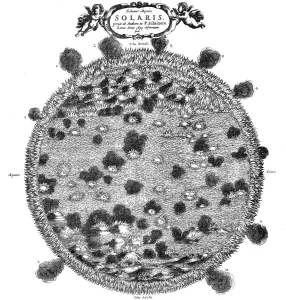 Christopher Scheiners illustration of his idea of the surface of the sun, 1635 Christopher Scheiners illustration of his idea of the surface of the sun, 1635