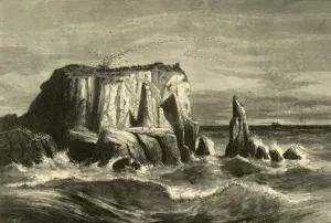 Coast Scene, Marin County, 1872. Creator: Andrew Varick Stout Anthony Coast Scene, Marin County, 1872. Creator: Andrew Varick Stout Anthony