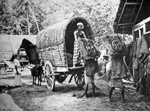 Images Dated 20th July 2010: Coconut production, India, 20th century