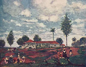 Cash Crop Gallery: A Coffee Fazenda, 1916. Artist: As Forrest