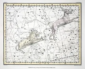 The Constellations (Plate V) Lynx, Leo Minor, 1822 The Constellations (Plate V) Lynx, Leo Minor, 1822