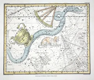 The Constellations (Plate XXVI) Hydra, Sextans Uraniae, Le Chat, La Machine Pneumatique The Constellations (Plate XXVI) Hydra, Sextans Uraniae, Le Chat, La Machine Pneumatique