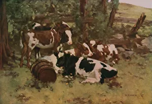 Amalgamated Press Ltd Books Prints: Contentment, c1903, (c1930). Creator: David Gauld