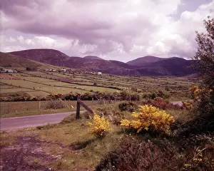 Prints of County Down, Northern Ireland, c1955 Down Prints: County Down Print, Northern Ireland Landscape c1955