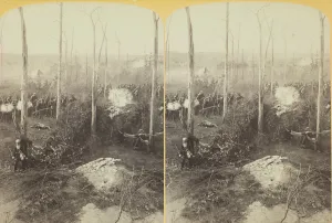 Crescent Regt. of New Orleans in the 'Hornets Nest', 1887 Crescent Regt. of New Orleans in the 'Hornets Nest', 1887
