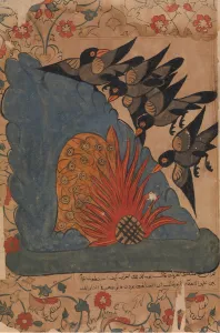 The Crows Trap the Owls in Their Cave by Lighting a Fire at the Entrance and Fanning The Crows Trap the Owls in Their Cave by Lighting a Fire at the Entrance and Fanning