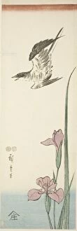 Cuculus Canorus Gallery: Cuckoo and iris, c. 1847 / 52. Creator: Ando Hiroshige