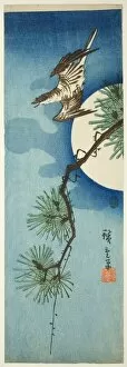 Cuculus Canorus Gallery: Cuckoo, pine branch, and full moon, c. 1843 / 47. Creator: Ando Hiroshige