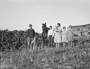 The Daugherty family, FSA borrowers, Warm Springs district, Malheur County, Oregon, 1939. Creator: Dorothea Lange