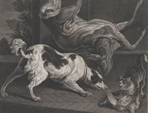 Dogs and Still Life, 1778. Creators: Pierre-Charles Canot, Joseph Farington Dogs and Still Life, 1778. Creators: Pierre-Charles Canot, Joseph Farington