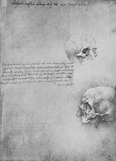 Two Drawings of the Bony Structure of the Head, c1480 (1945). Artist: Leonardo da Vinci Two Drawings of the Bony Structure of the Head, c1480 (1945). Artist: Leonardo da Vinci