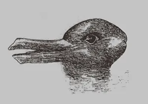 Duck-Rabbit Illusion Print, 1899