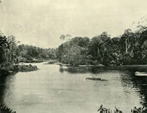 The Ennoggera Reservoir, 1901. Creator: Unknown The Ennoggera Reservoir, 1901. Creator: Unknown
