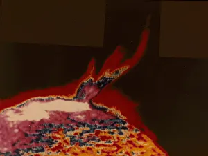 False colour image of a solar flare from Skylab, 1973 False colour image of a solar flare from Skylab, 1973
