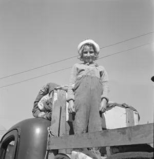Pick Up Truck Gallery: Part of family come for work in potatoes, Tulelake, Siskiyou County, California, 1939