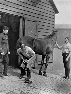 The Farrier-Major of the Royal Horse Guard, 1896.Artist: Gregory & Co The Farrier-Major of the Royal Horse Guard, 1896.Artist: Gregory & Co