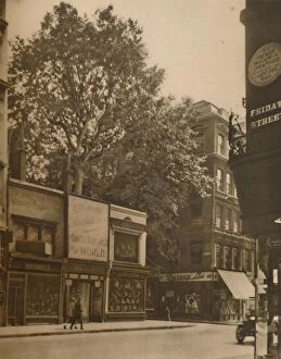 Plane Tree Gallery: A Favoured Inmate of the City: The Plane-Tree in Cheapside, c1935. Creator: SO Gorse