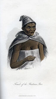 Images Dated 21st December 2006: Female of the Bushman Race, 1848