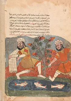 The Fish and the Fisherman, Folio from a Kalila wa Dimna, 18th century. Creator: Unknown The Fish and the Fisherman, Folio from a Kalila wa Dimna, 18th century. Creator: Unknown