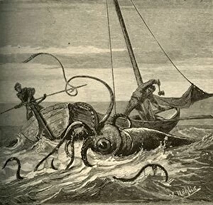 Scribner And Co Gallery: The Fishermen Battle with the Giant Squid, 1881. Creator: Unknown