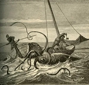 The Fishermen Battle with the Giant Squid, 1881. Creator: Unknown The Fishermen Battle with the Giant Squid, 1881. Creator: Unknown