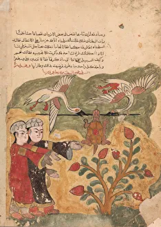 The Flight of the Tortoise, Folio from a Kalila wa Dimna, 18th century. Creator: Unknown The Flight of the Tortoise, Folio from a Kalila wa Dimna, 18th century. Creator: Unknown