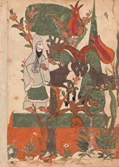 The Fox and the Battling Rams Observed by the Ascetic, Folio from a Kalila wa Dimna The Fox and the Battling Rams Observed by the Ascetic, Folio from a Kalila wa Dimna