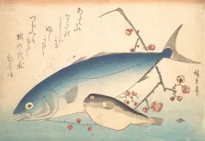 Fugu and Inada Fish, from the series Uozukushi (Every Variety of Fish), 1840s., 1840s Fugu and Inada Fish, from the series Uozukushi (Every Variety of Fish), 1840s., 1840s