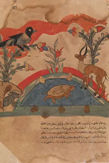 The Gazelle Becomes Friends with the Crow, the Mouse, and the Tortoise..., 18th century The Gazelle Becomes Friends with the Crow, the Mouse, and the Tortoise..., 18th century