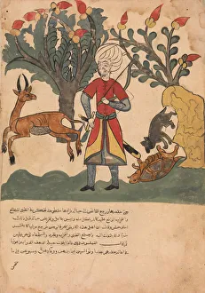 The Gazelle Lures the Hunter Away While the Mouse Frees the Bound Tortoise The Gazelle Lures the Hunter Away While the Mouse Frees the Bound Tortoise