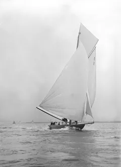 Gold medal winner Rollo races downwind under spinnaker, 1911. Creator: Kirk & Sons of Cowes Gold medal winner Rollo races downwind under spinnaker, 1911. Creator: Kirk & Sons of Cowes
