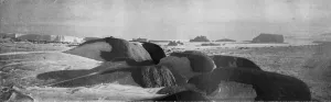 Granite Blocks Planed by Ancient Glaciers at Cape Roberts, c1911, (1913). Artist Granite Blocks Planed by Ancient Glaciers at Cape Roberts, c1911, (1913). Artist