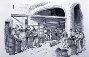 Detail of hand-presses at a winery, engraving, 1900 Detail of hand-presses at a winery, engraving, 1900