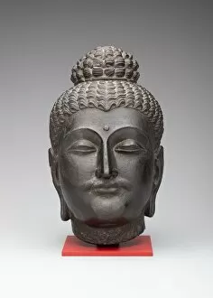 Head of Buddha, Kushan period, 2nd/3rd century. Creator: Unknown