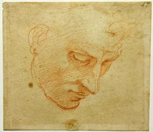 Florence Fine Art Images Prints: Head Study to the Sistine Chapel ceiling