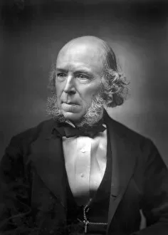 Images Dated 17th March 2007: Herbert Spencer (1820-1903), late 19th century