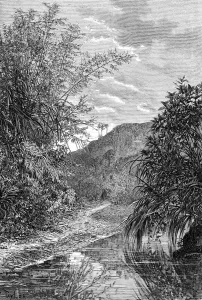 Maps Gallery: Highland Landscape, Formosa, c1890