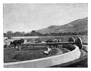 Mill for husking coffee, Central America, c1890 Mill for husking coffee, Central America, c1890