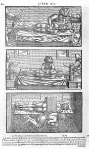 Illustration from Liber canonis de medicinis cordialibus by Avicenna, 1556. Artist: Anonymous Illustration from Liber canonis de medicinis cordialibus by Avicenna, 1556. Artist: Anonymous