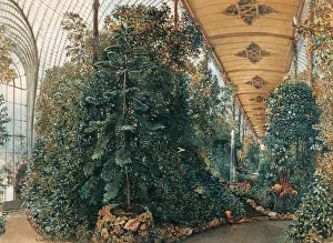Interior of the Palm House of Lednice Palace. Artist: Alt, Rudolf von (1812-1905) Interior of the Palm House of Lednice Palace. Artist: Alt, Rudolf von (1812-1905)