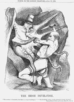 The Irish Devil-Fish, 1881. Artist: Joseph Swain The Irish Devil-Fish, 1881. Artist: Joseph Swain