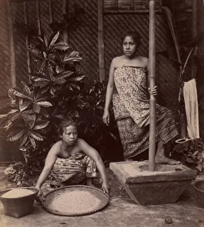 Albumen Silver Print Art Prints: Javanese Women Preparing Rice, 1860s-70s. Creator: Unknown